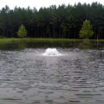 Surface Aeration vs Bottom Aeration: Choosing the Right System for Your Pond