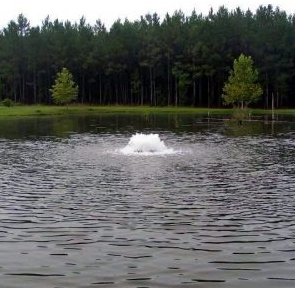 Surface Aeration vs Bottom Aeration: Choosing the Right System for Your Pond