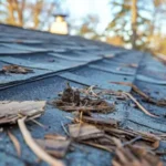How Debris Buildup Traps Moisture on the Roof Surface