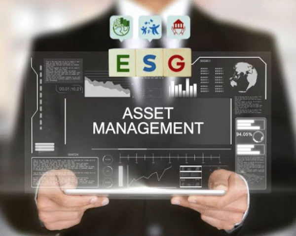 Asset Manager Strategies for Sustainable Long Term Returns
