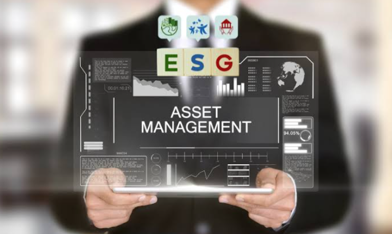 Asset Manager Strategies for Sustainable Long Term Returns